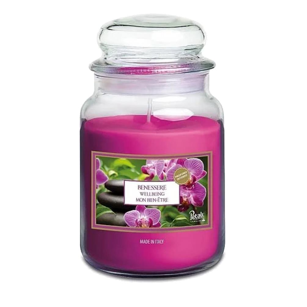 Petali Wellbeing Large Jar Candle £8.39